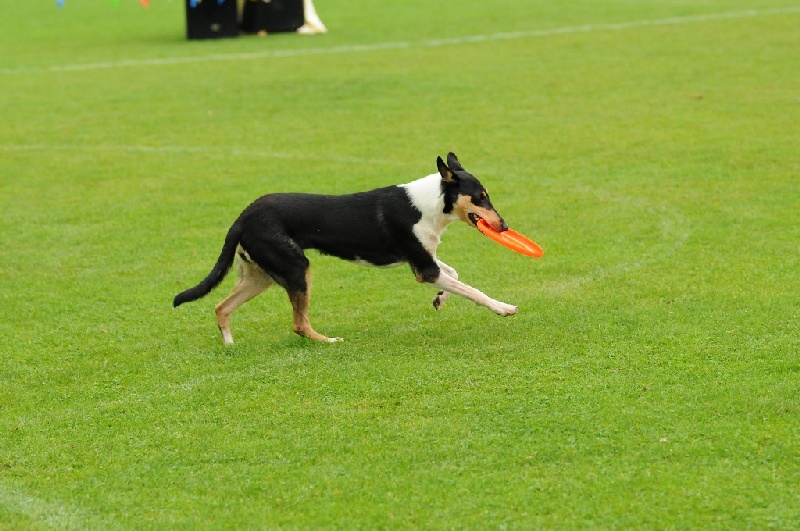 Image 240 of 855  -  231 kB