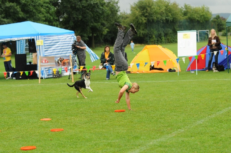 Image 241 of 855  -  263 kB