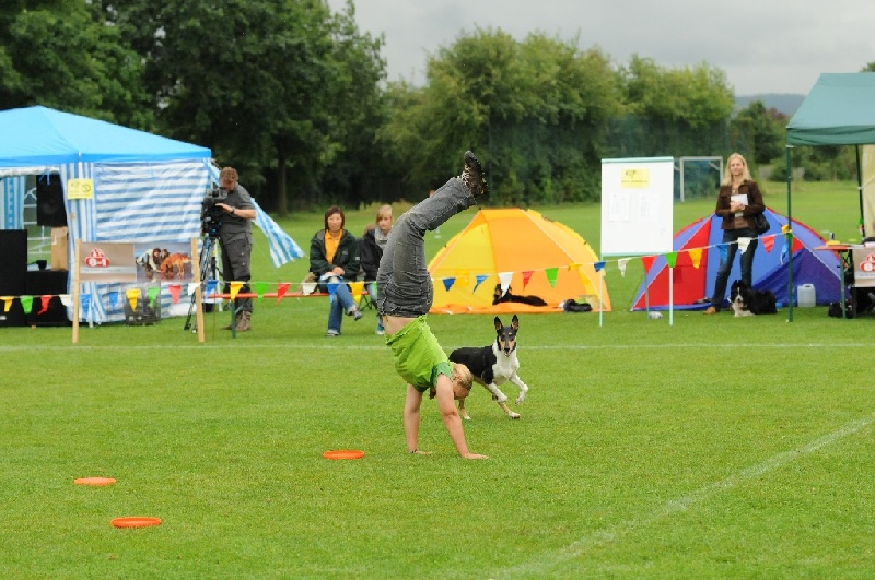 Image 242 of 855  -  256 kB