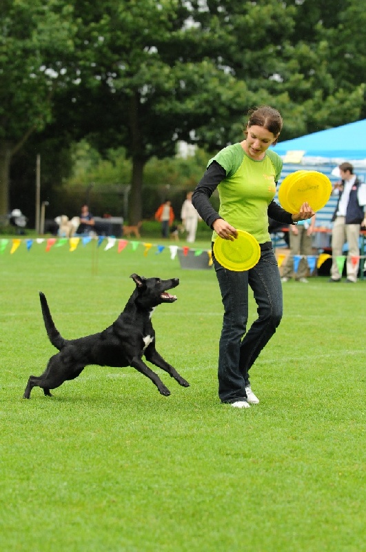 Image 245 of 855  -  237 kB