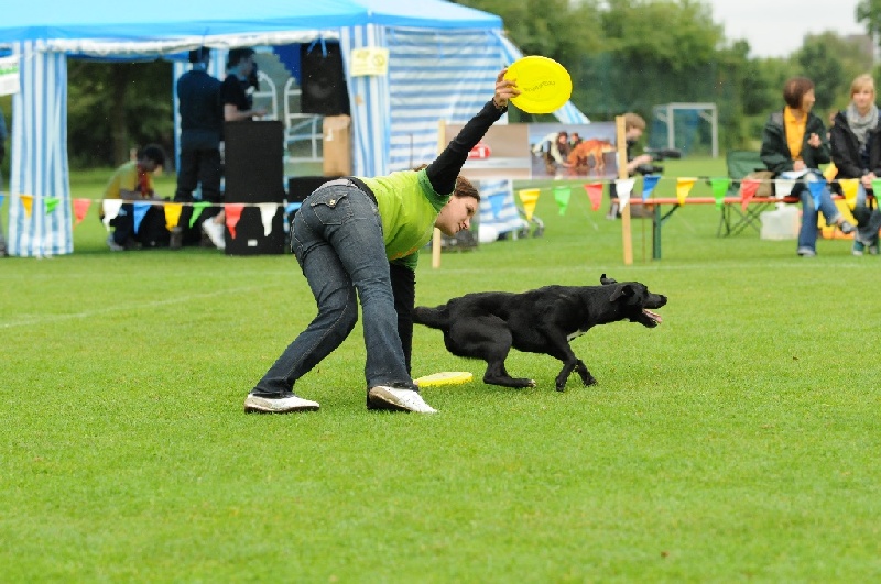 Image 247 of 855  -  241 kB