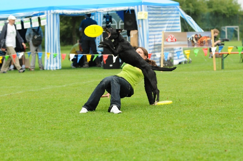 Image 248 of 855  -  241 kB