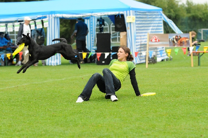 Image 250 of 855  -  242 kB