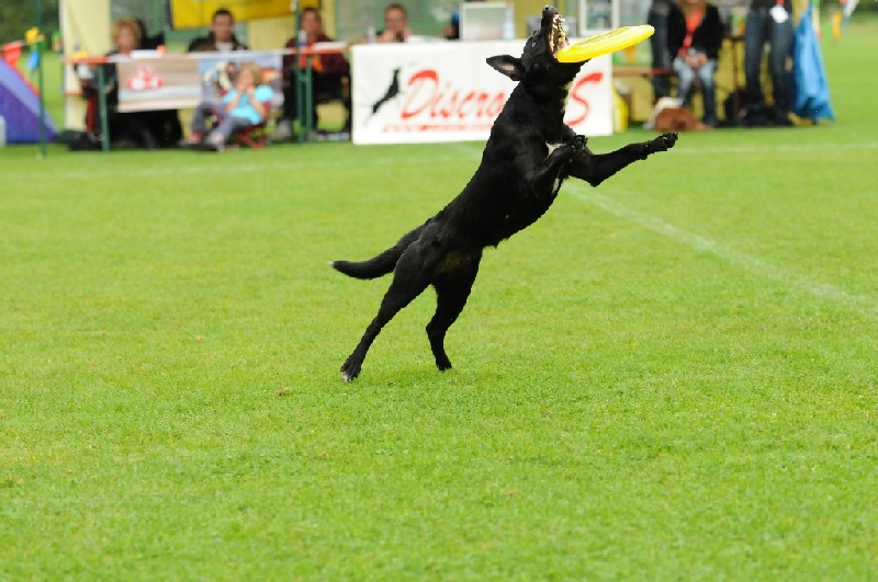 Image 251 of 855  -  228 kB