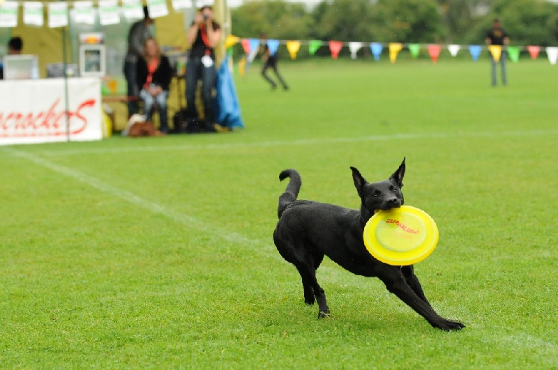 Image 253 of 855  -  213 kB