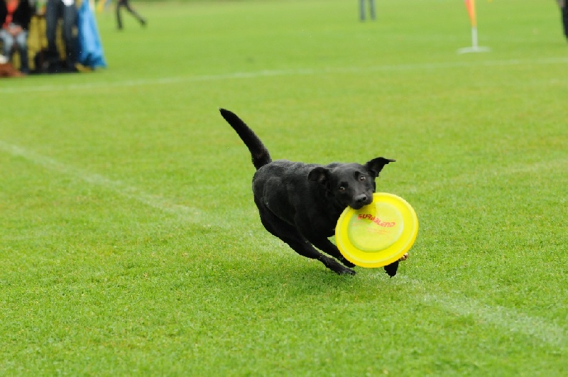 Image 254 of 855  -  209 kB