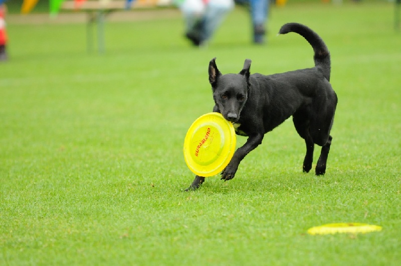 Image 255 of 855  -  187 kB