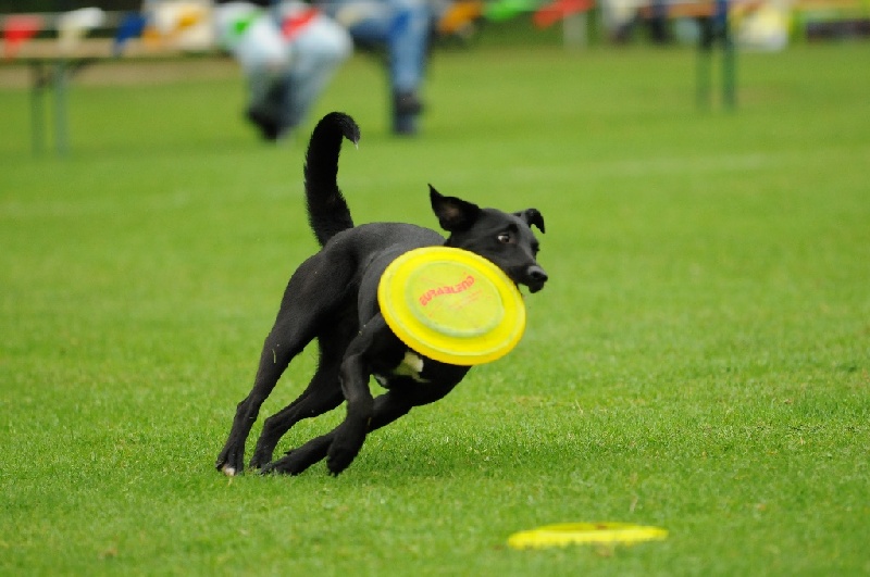 Image 256 of 855  -  195 kB