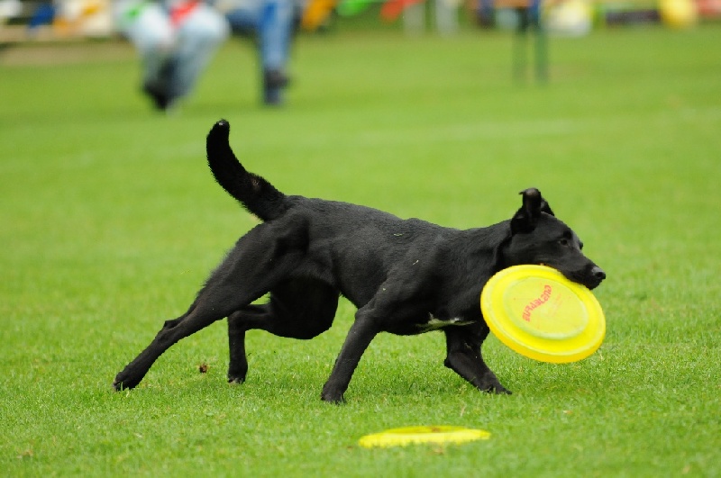 Image 257 of 855  -  195 kB