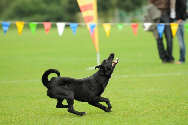 Image 258 of 855  -  186 kB