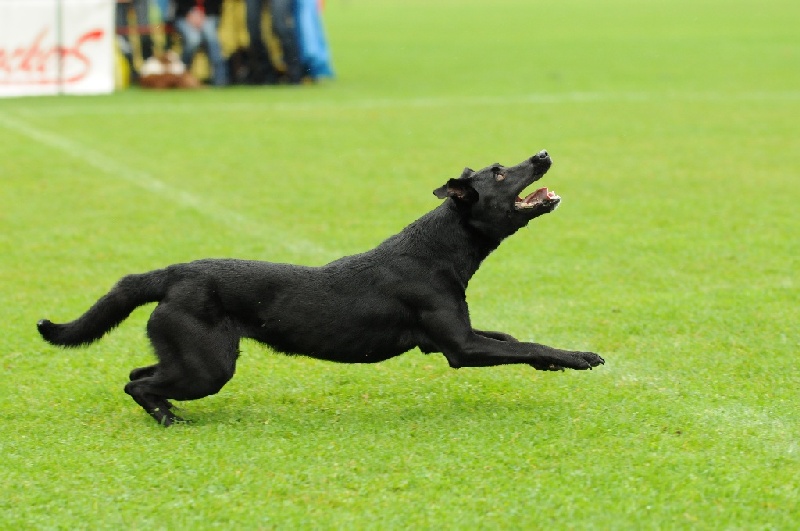 Image 260 of 855  -  196 kB