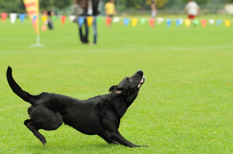 Image 262 of 855  -  185 kB