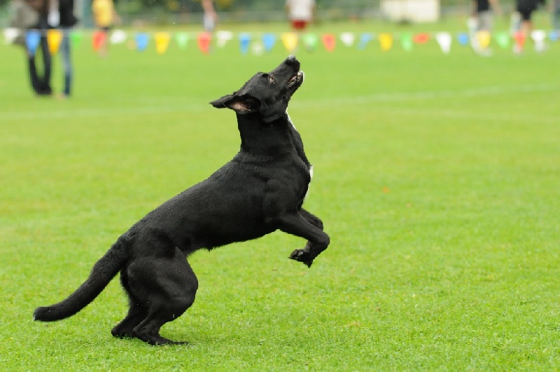 Image 263 of 855  -  195 kB