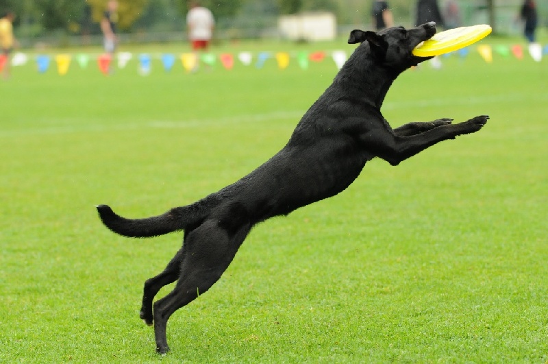 Image 264 of 855  -  205 kB