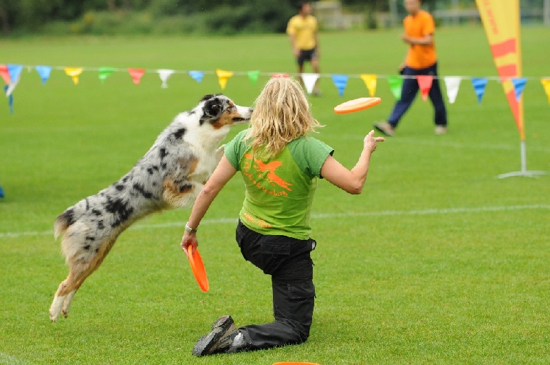 Image 266 of 855  -  223 kB