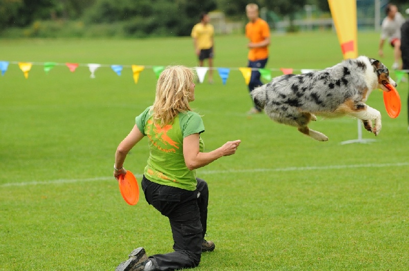 Image 268 of 855  -  217 kB