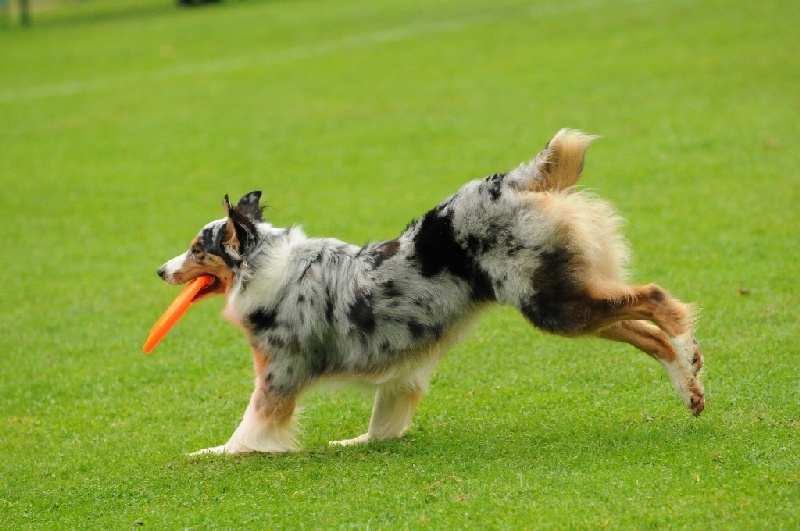 Image 271 of 855  -  219 kB