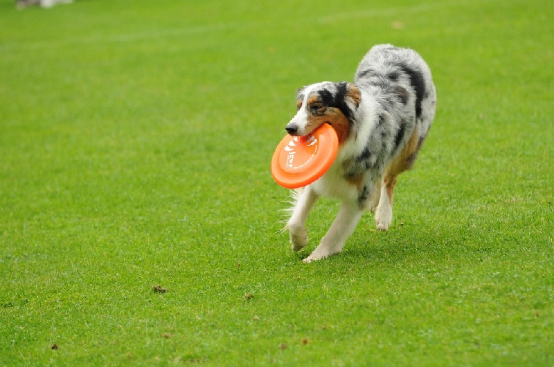 Image 272 of 855  -  226 kB