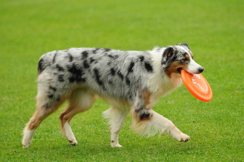 Image 273 of 855  -  230 kB