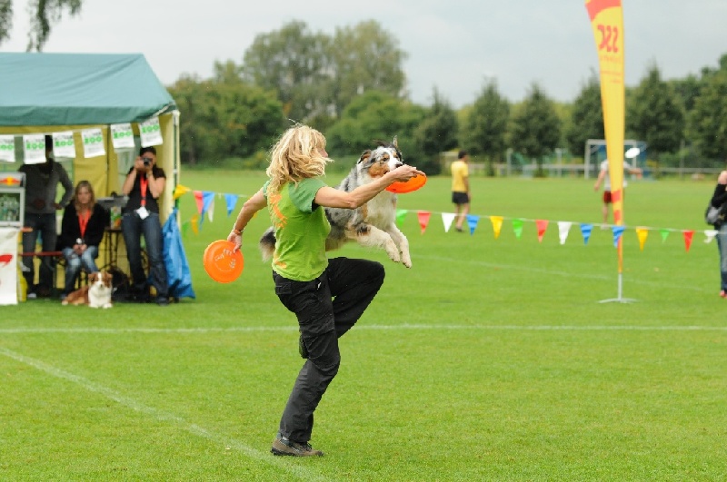 Image 274 of 855  -  220 kB