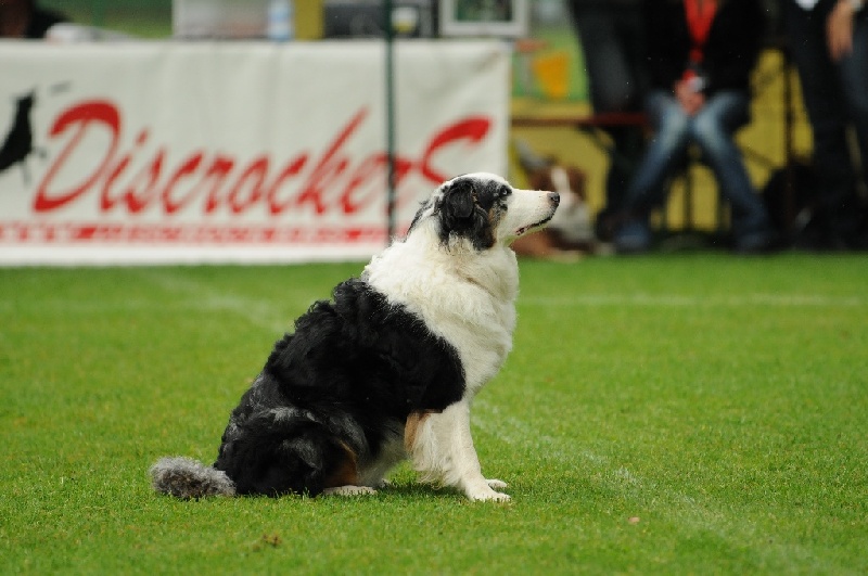 Image 277 of 855  -  201 kB