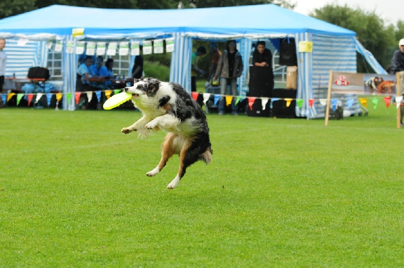 Image 278 of 855  -  253 kB