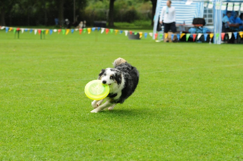 Image 279 of 855  -  239 kB