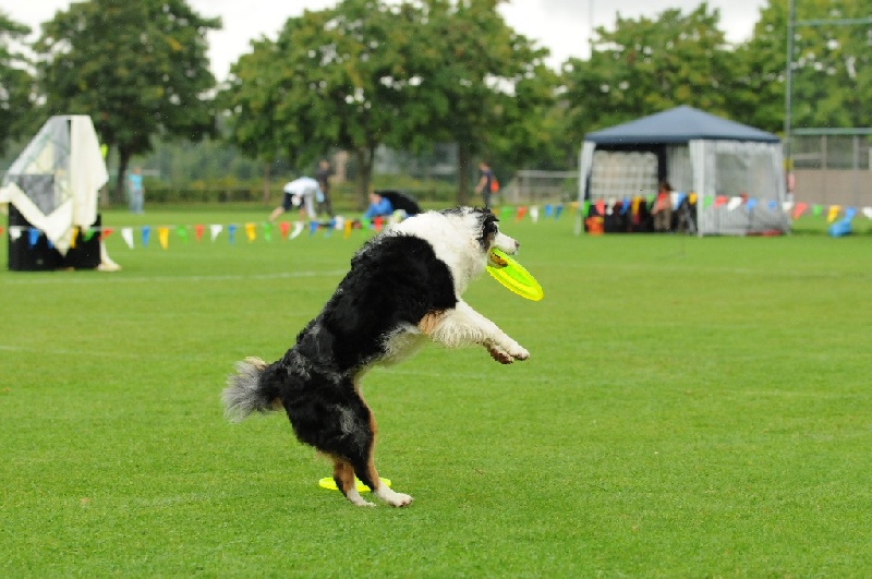 Image 280 of 855  -  227 kB