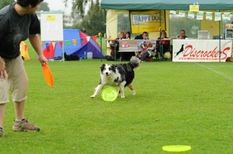 Image 281 of 855  -  241 kB