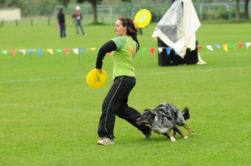 Image 282 of 855  -  226 kB