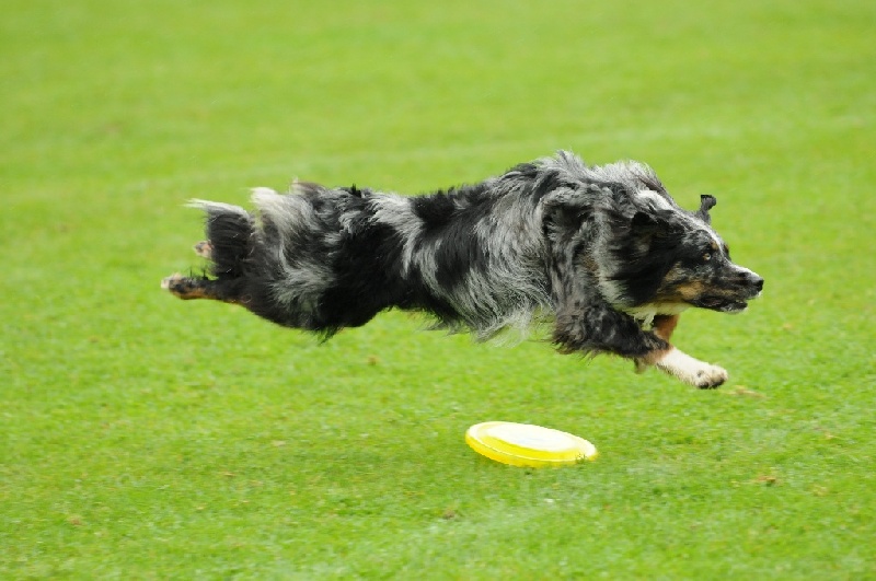 Image 284 of 855  -  197 kB