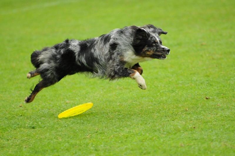 Image 286 of 855  -  206 kB