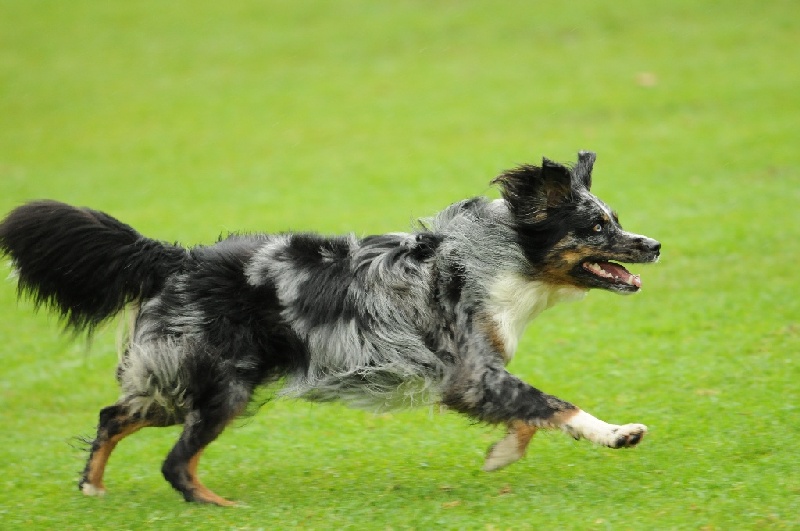 Image 287 of 855  -  194 kB