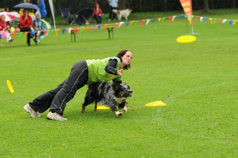 Image 288 of 855  -  251 kB