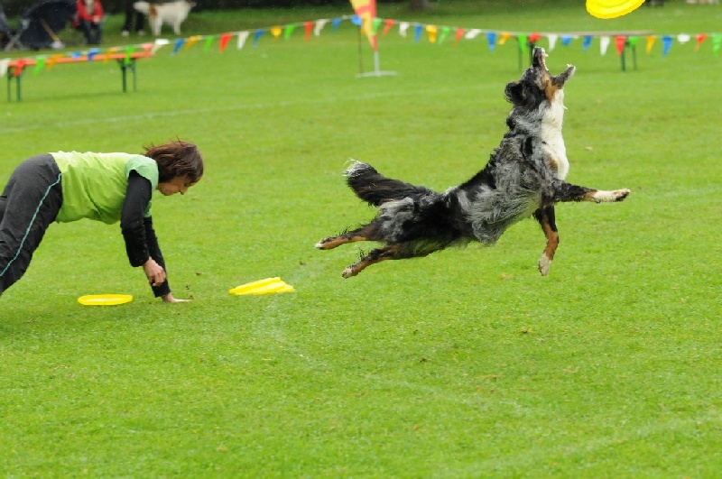 Image 289 of 855  -  234 kB