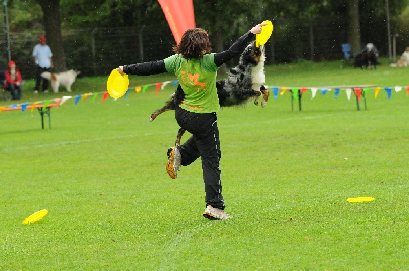 Image 290 of 855  -  247 kB