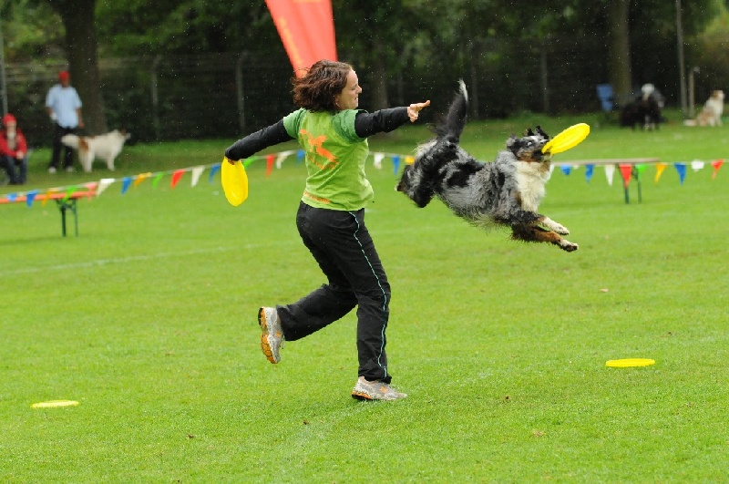 Image 291 of 855  -  244 kB