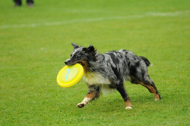 Image 292 of 855  -  209 kB