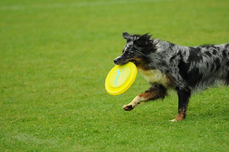 Image 293 of 855  -  215 kB