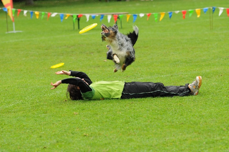 Image 294 of 855  -  237 kB