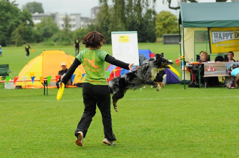 Image 295 of 855  -  251 kB