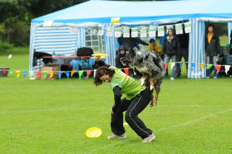 Image 297 of 855  -  241 kB