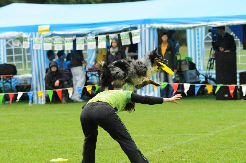 Image 298 of 855  -  235 kB