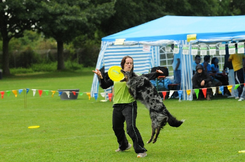 Image 299 of 855  -  242 kB