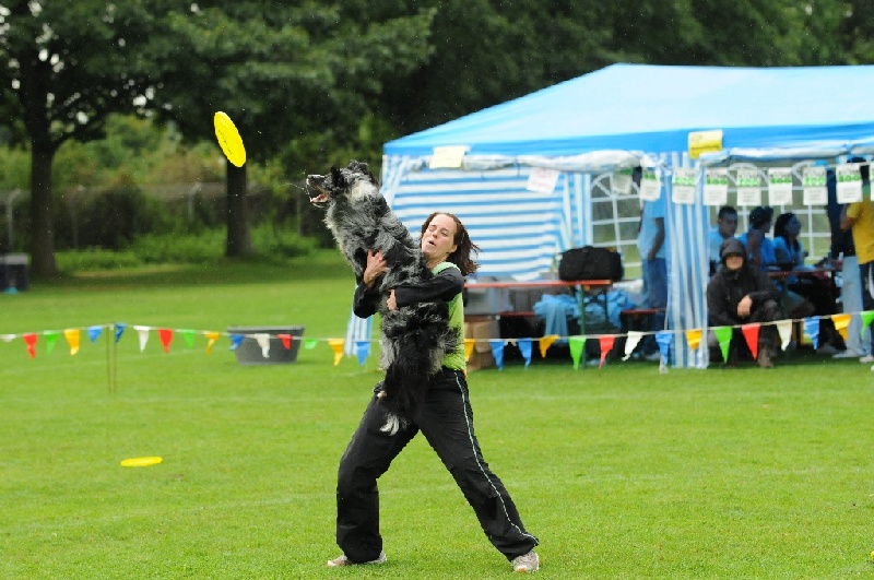 Image 300 of 855  -  241 kB