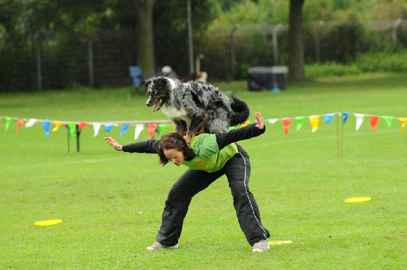 Image 301 of 855  -  226 kB