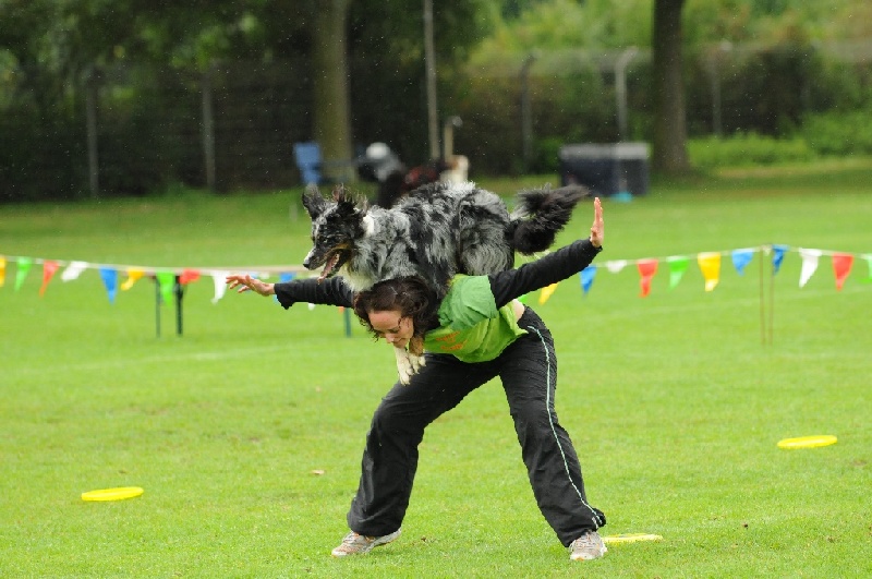 Image 302 of 855  -  219 kB