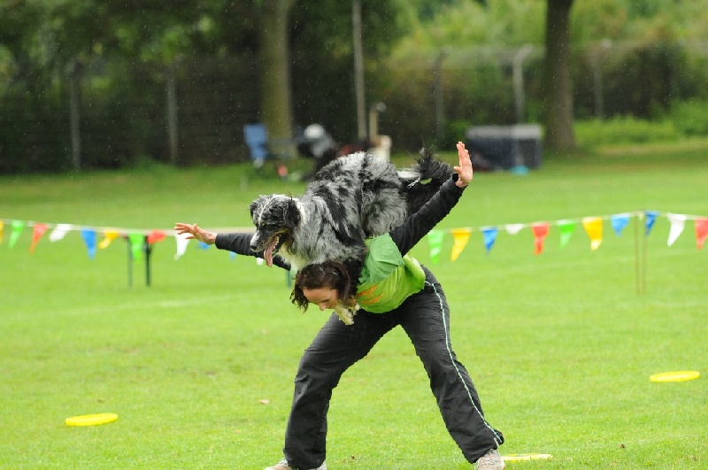 Image 303 of 855  -  208 kB