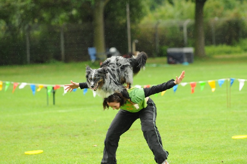 Image 304 of 855  -  205 kB