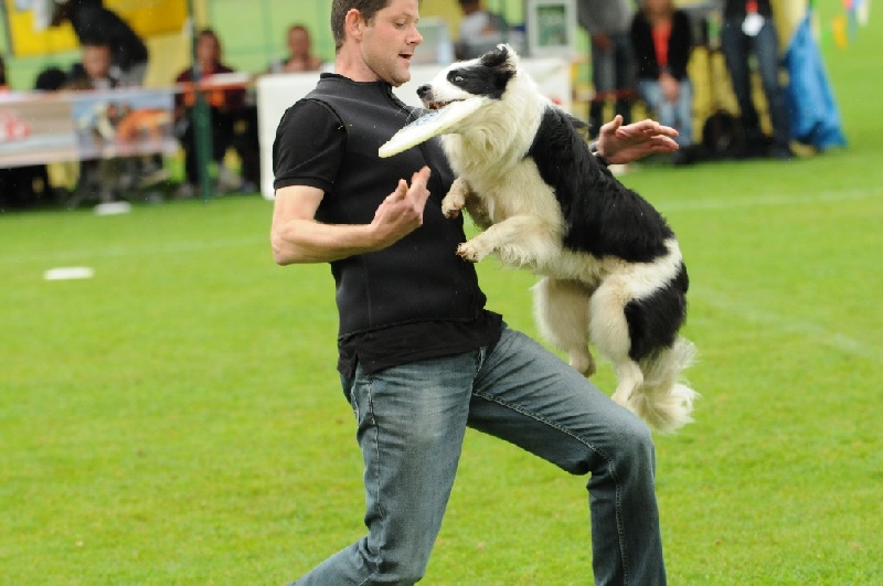 Image 305 of 855  -  198 kB